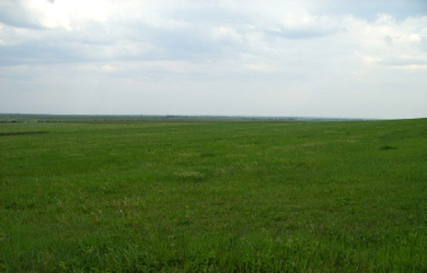 Dražba pozemku, Horné Mladonice, okres Krupina